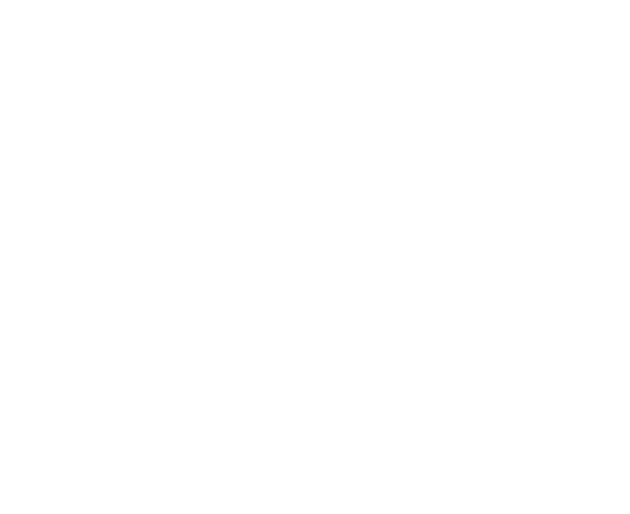 The Ring Guy